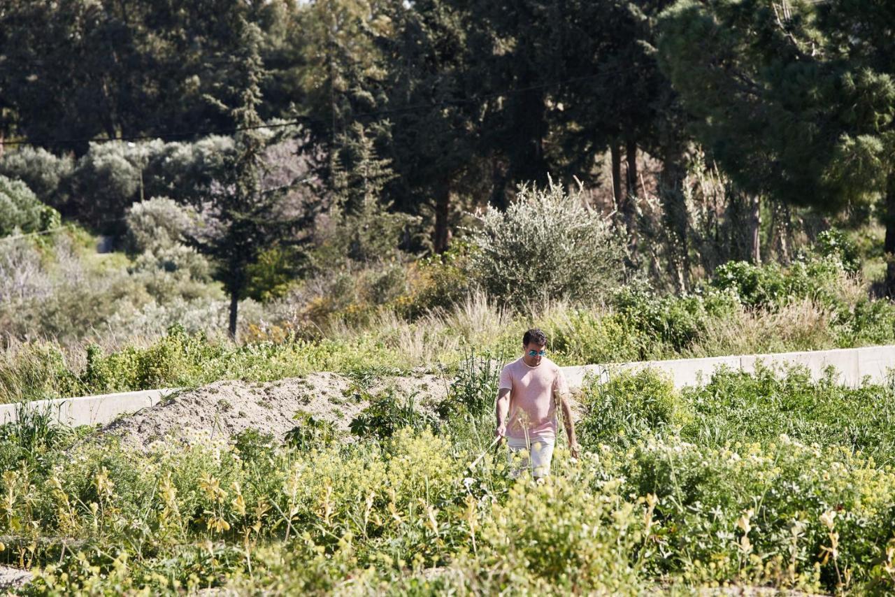 Anar Villas Rhodes Koskinou  Bagian luar foto